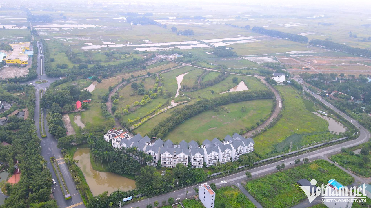 tuan chau ha noi 2 1651.jpg