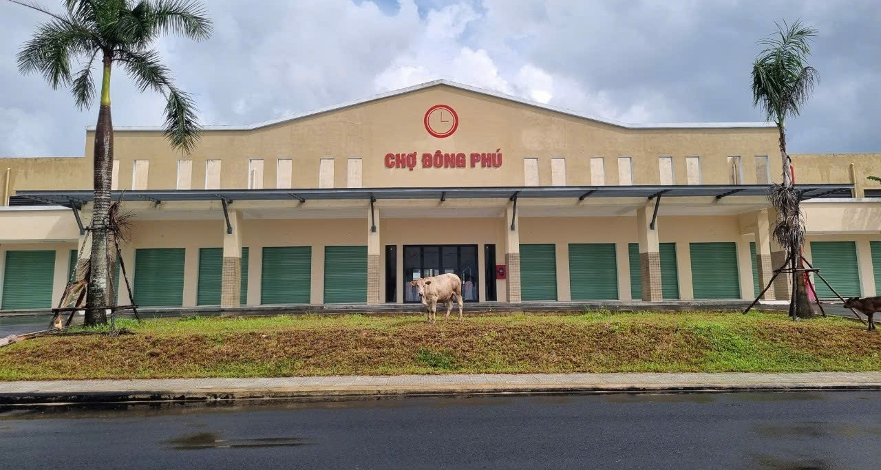 35 dự án ở Quảng Nam nợ hơn 2.000 tỷ đồng tiền sử dụng đất, thuê đất