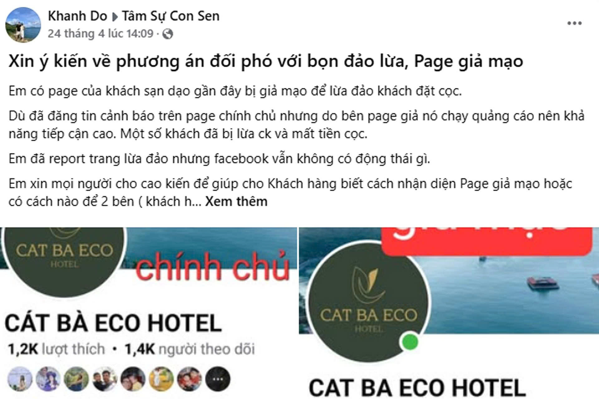 Ảnh 5.jpg