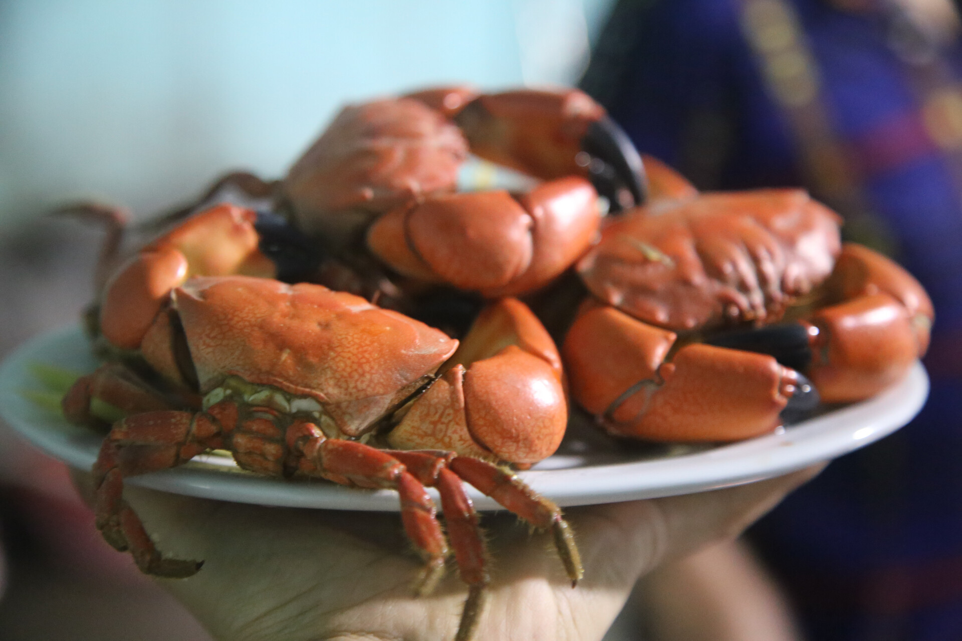 cua da sau khi hap chin 668438abdae44e3b8ff4f62522f2dc94.jpg