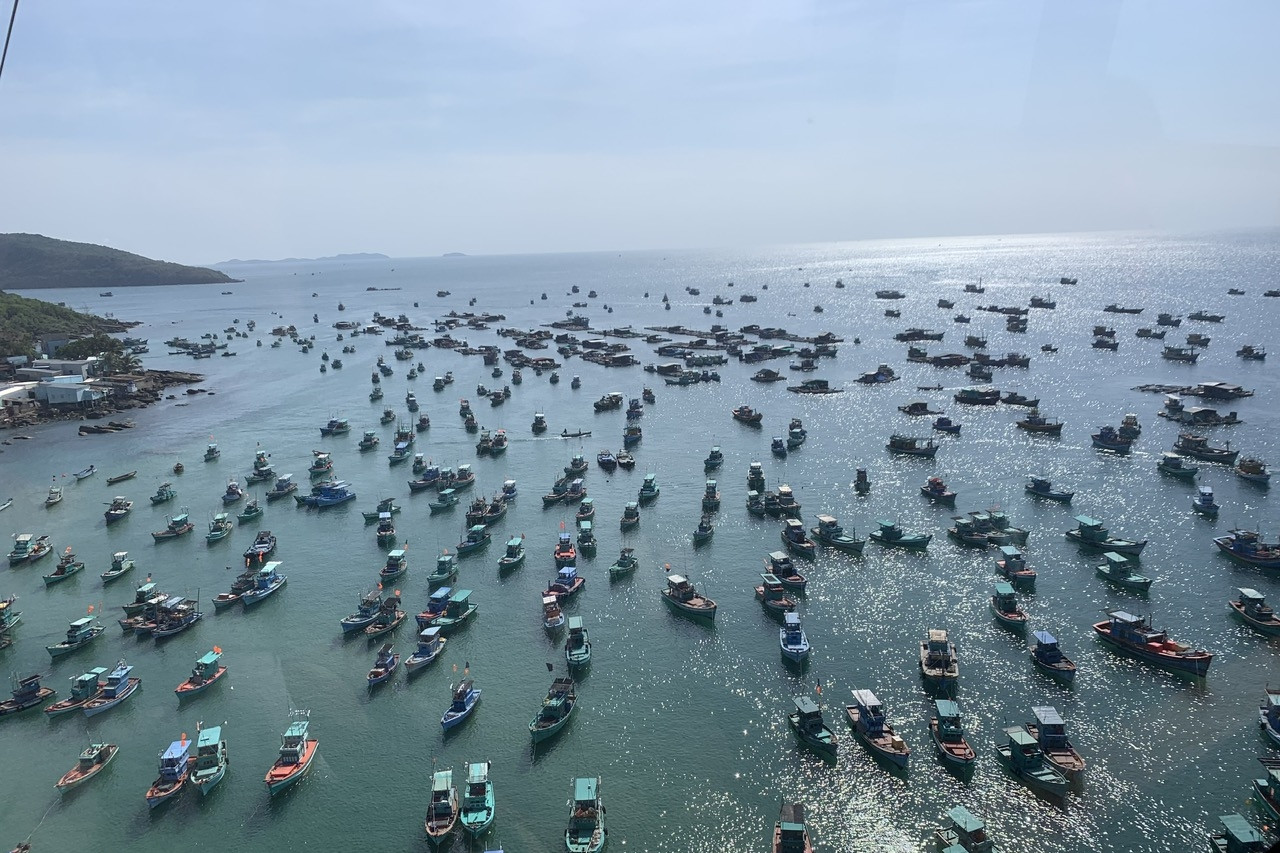 Phú Quốc đẩy mạnh nghề nuôi biển nhằm phát triển bền vững kinh tế biển