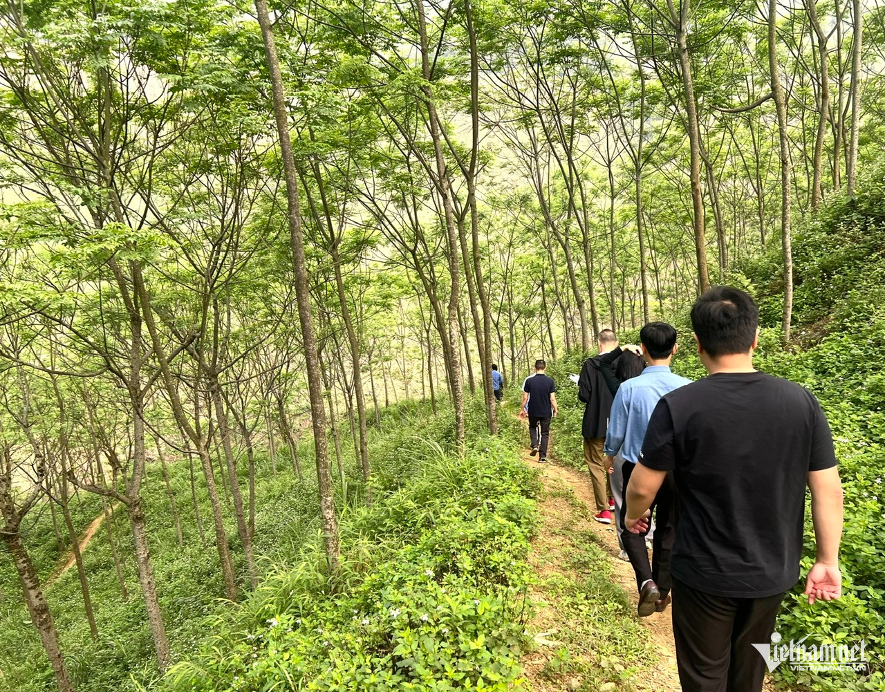 W-Phat trien rung ben vung 2.jpg