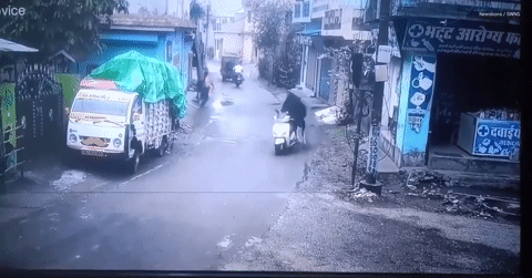 Khoảnh khắc gây sốc: Bò 'cưỡi' xe tay ga lao vút trên đường