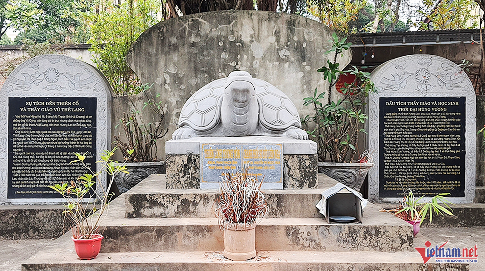 W-den thien co.jpg