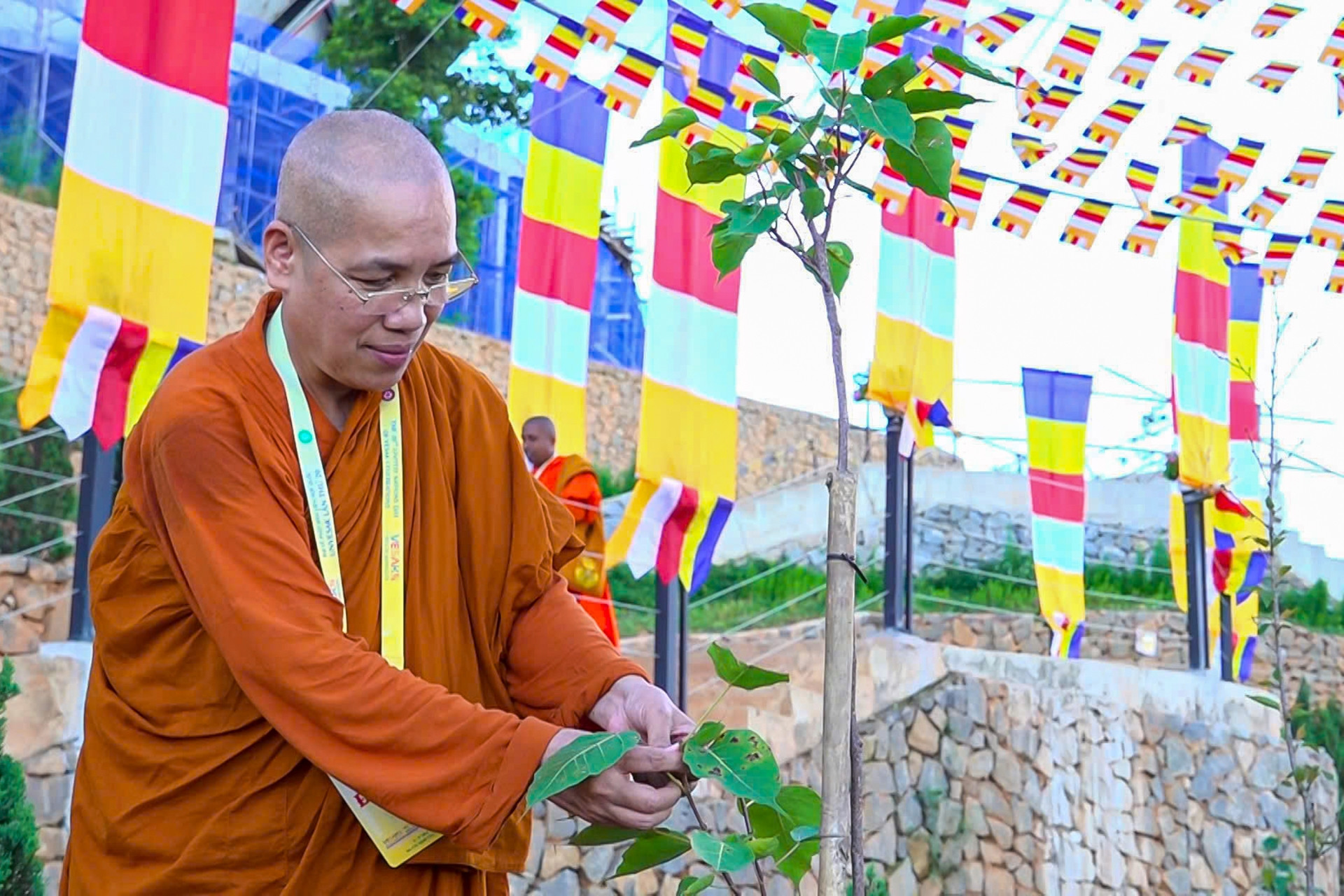 108 cây bồ đề thỉnh từ Ấn Độ được trồng trên núi Bà Đen trong Đại lễ Vesak 2025