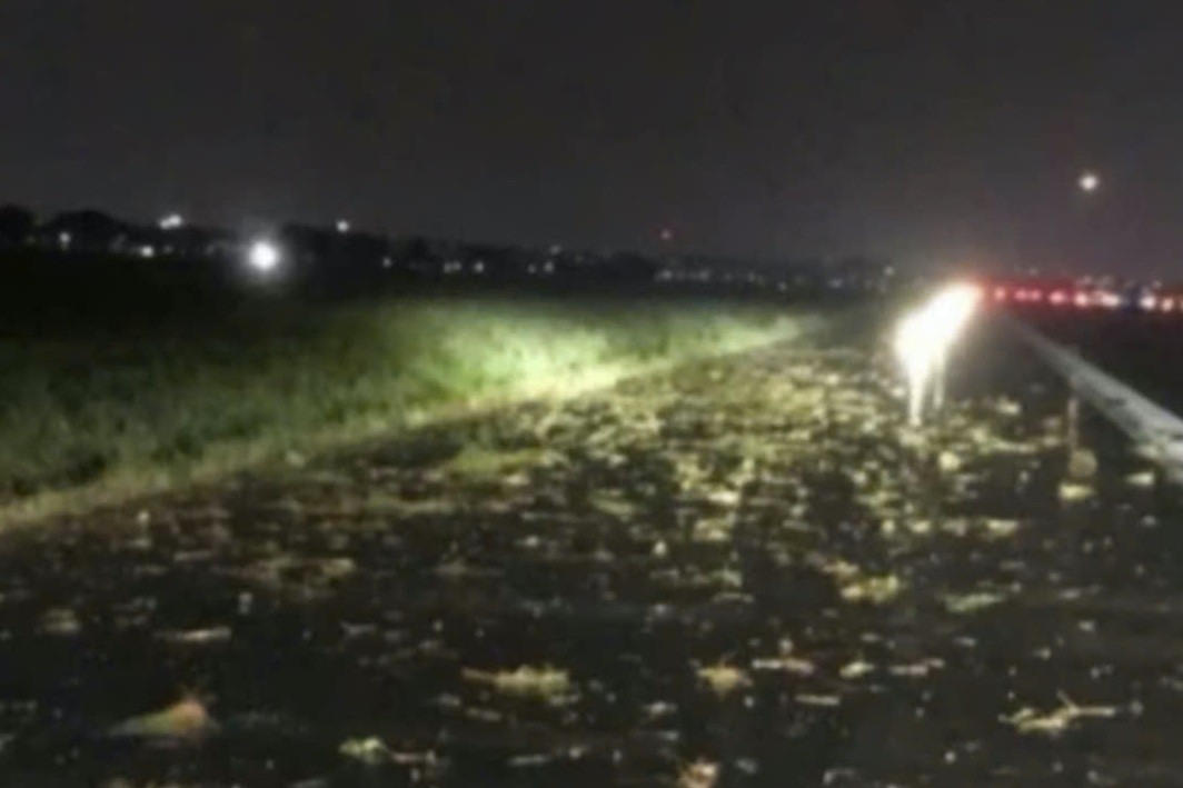 Máy bay trượt khỏi đường băng khi hạ cánh xuống Tân Sơn Nhất