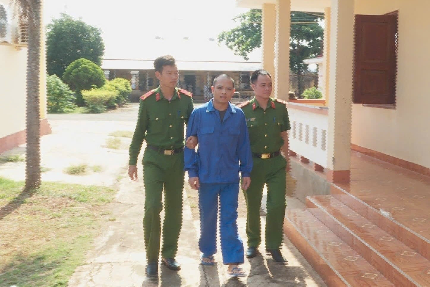 Buôn lậu thuốc nhúng làm chín sầu riêng, giao dịch gần 100 tỷ đồng