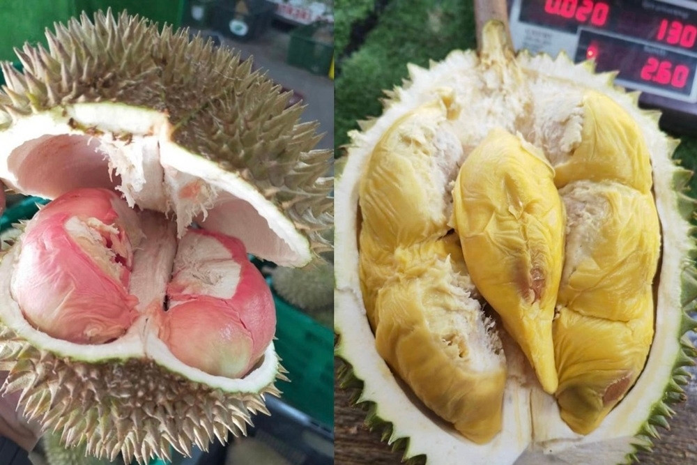 Loại sầu riêng mới giá lên tới gần 800.000 đồng/kg gây sốt