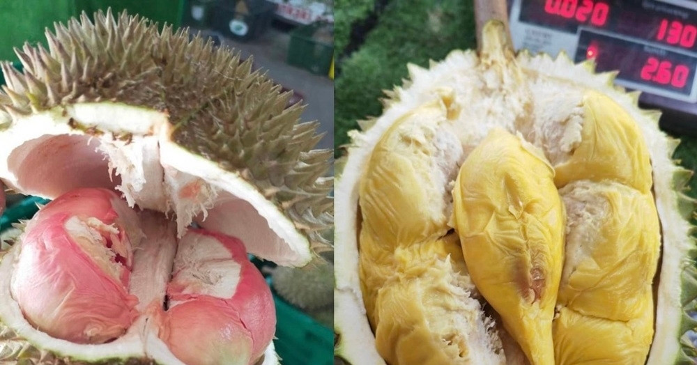 Loại sầu riêng mới giá lên tới gần 800.000 đồng/kg gây sốt