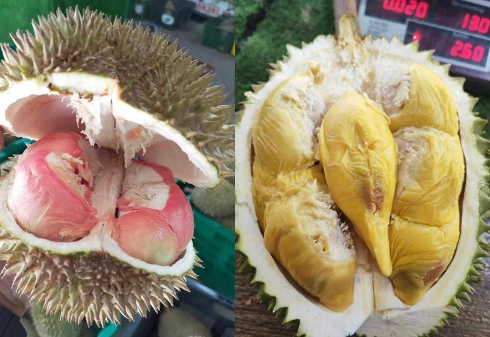 sau rieng.jpg