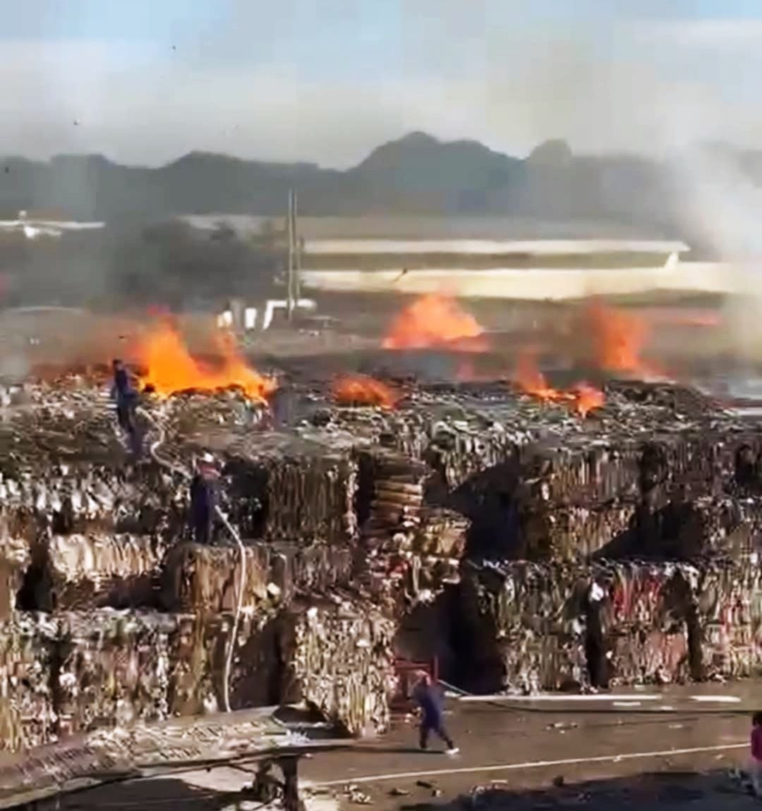 54df025a 6b15 4ca5 91f9 b19c7994b601.jpeg