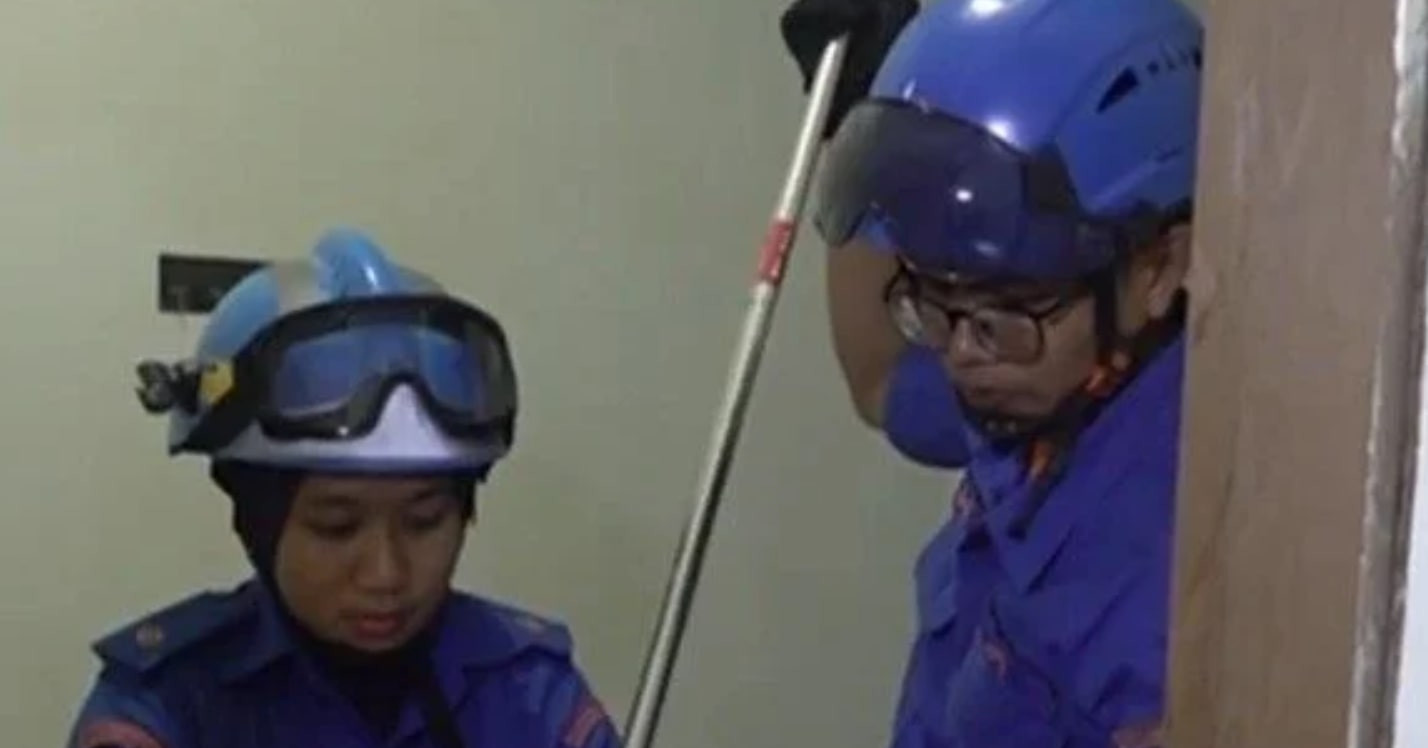 Liên tiếp phát hiện rắn hổ mang trong bếp, người đàn ông tức tốc gọi cho bố vợ