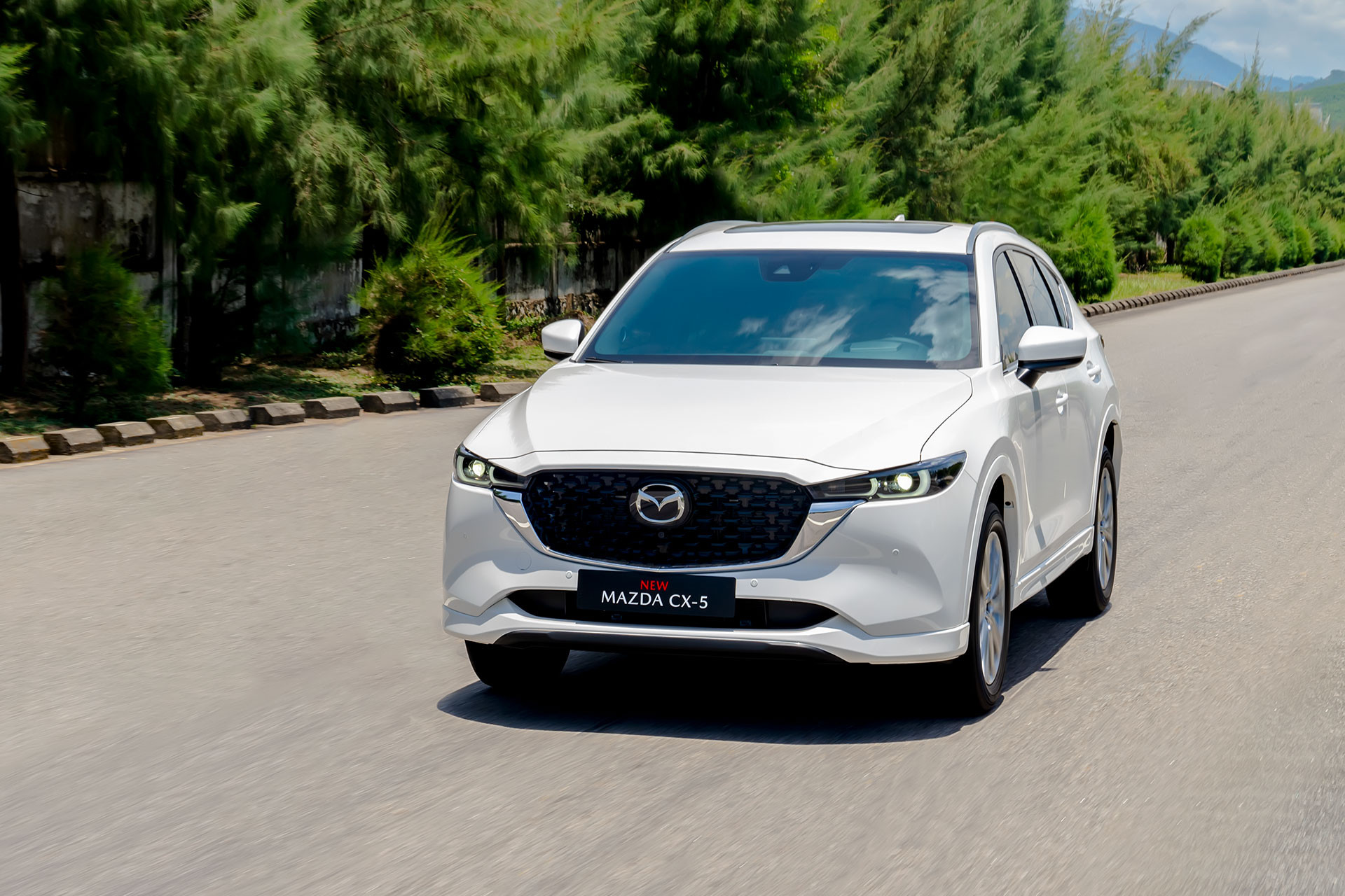 Mazda CX 5 (4).jpg