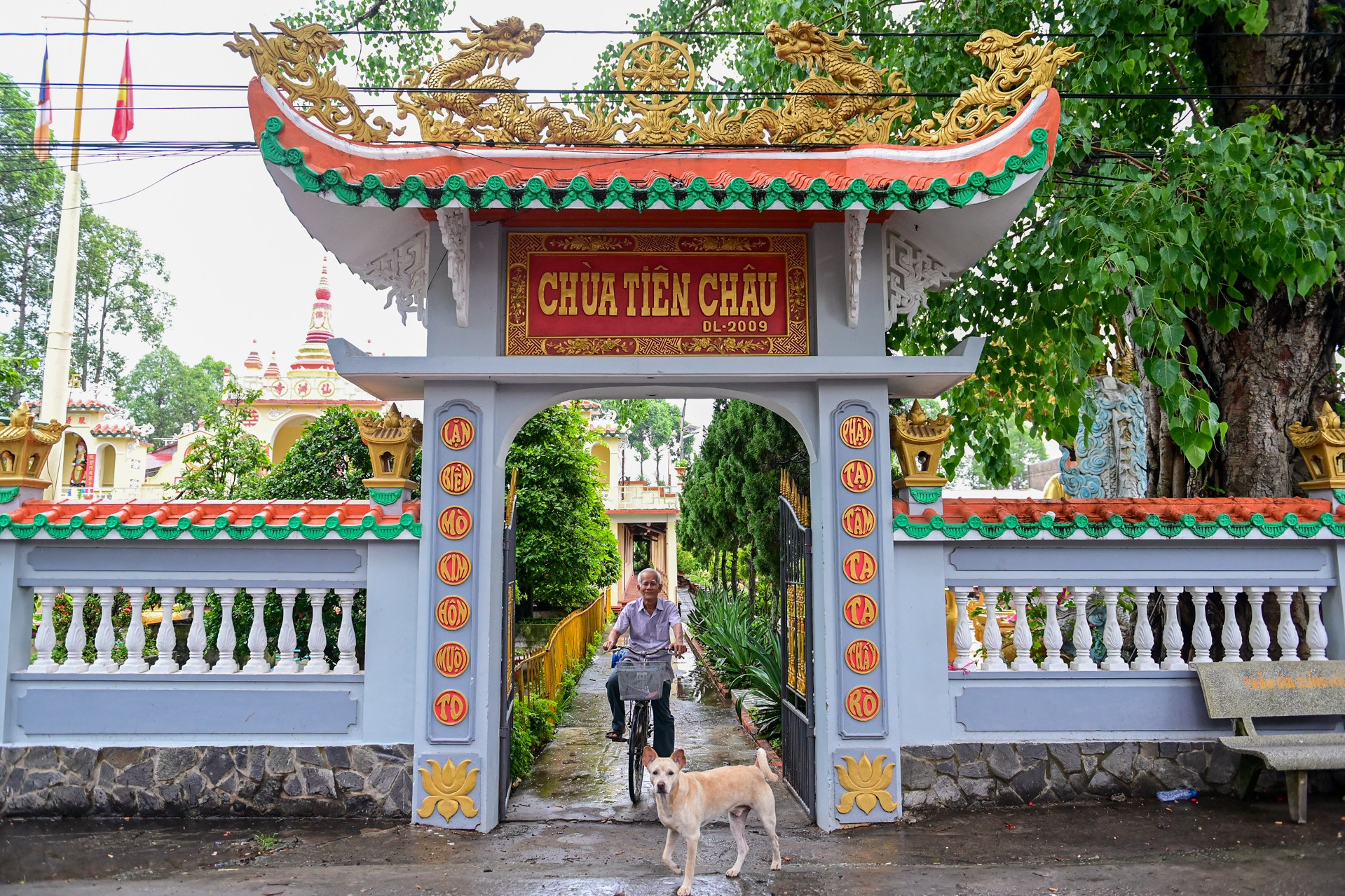 Ngôi chùa hơn 300 năm tuổi trên mảnh đất cù lao Vĩnh Long