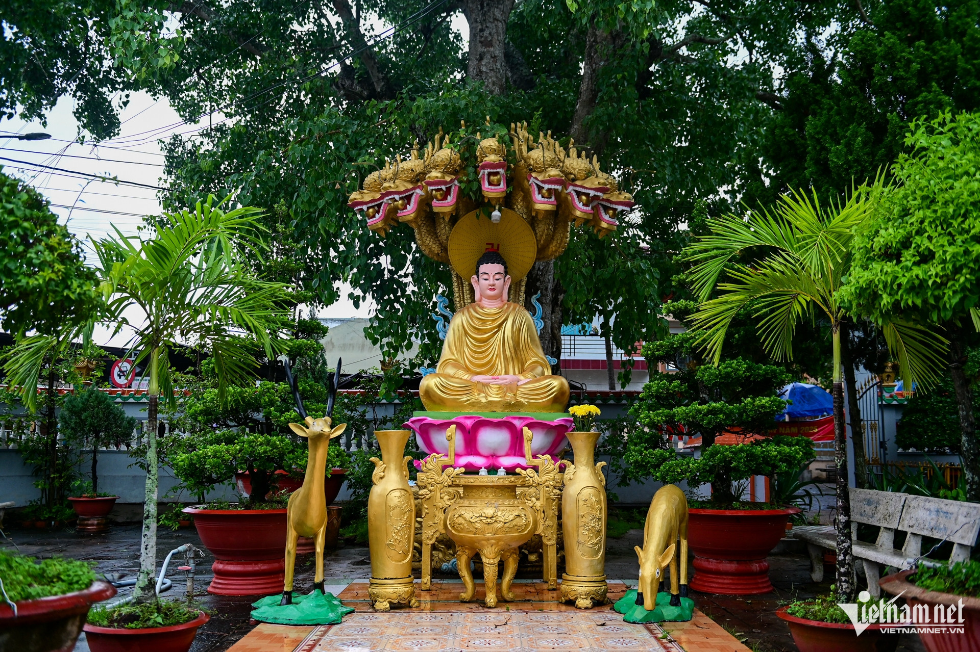 W-Chùa Tiên Châu   Nguyễn Huế_ 3.jpg