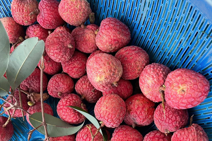 Quả vải giúp phòng bệnh tim mạch nhưng 7 nhóm người không nên ăn