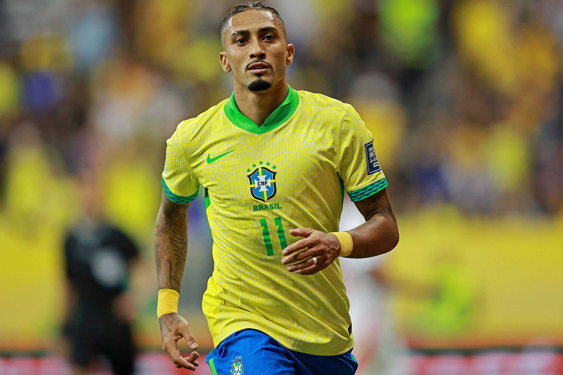 イマゴ - ラフィーニャ ブラジル.jpg