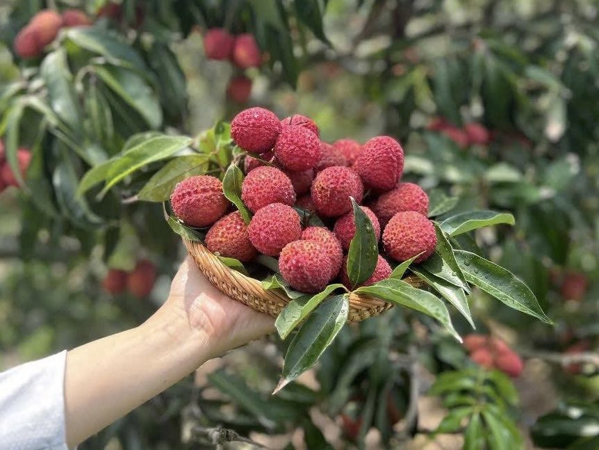 vai thieu trung quoc 3.jpg