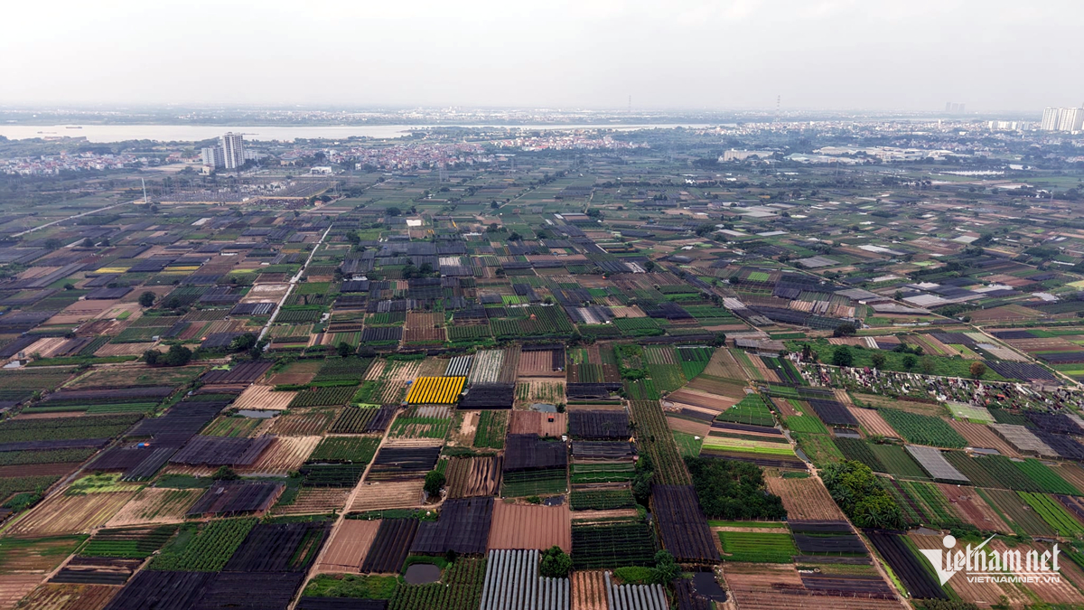 W-Untitled 1 copy.png