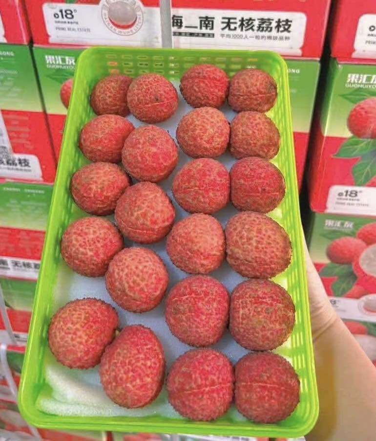 505434967_1784587089600679_239225031892005932_n (1).jpg