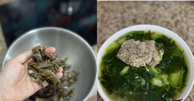 Đặc sản chui ra từ đất, đêm soi đèn 1 tiếng bắt được vài kg, nấu canh mát rượi