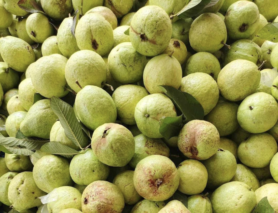 Ứng dụng trí tuệ nhân tạo, quản trị dữ liệu,... vào hoạt động sản xuất, chế biến, tiêu thụ nông sản