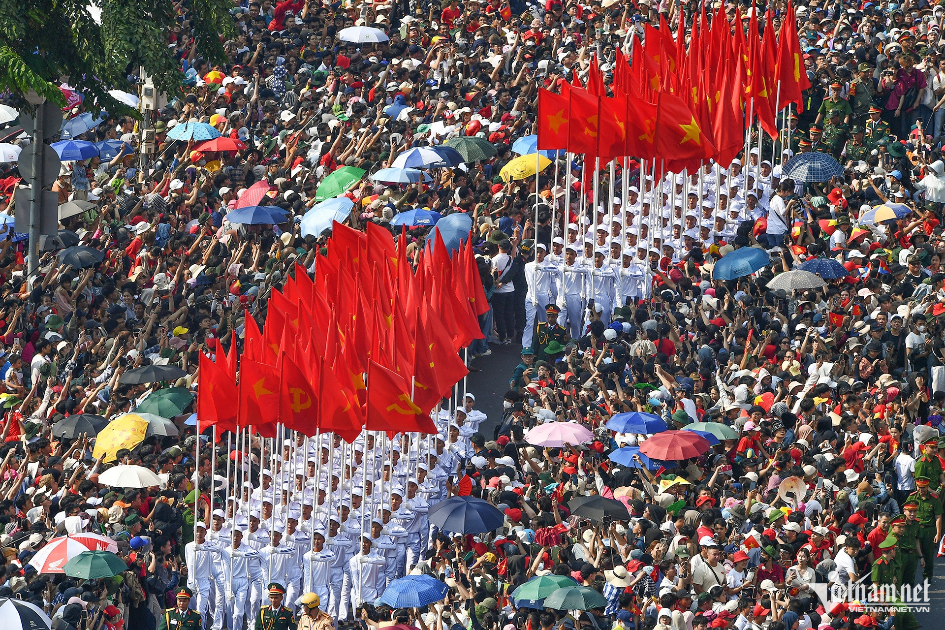 W-dieu binh.jpg