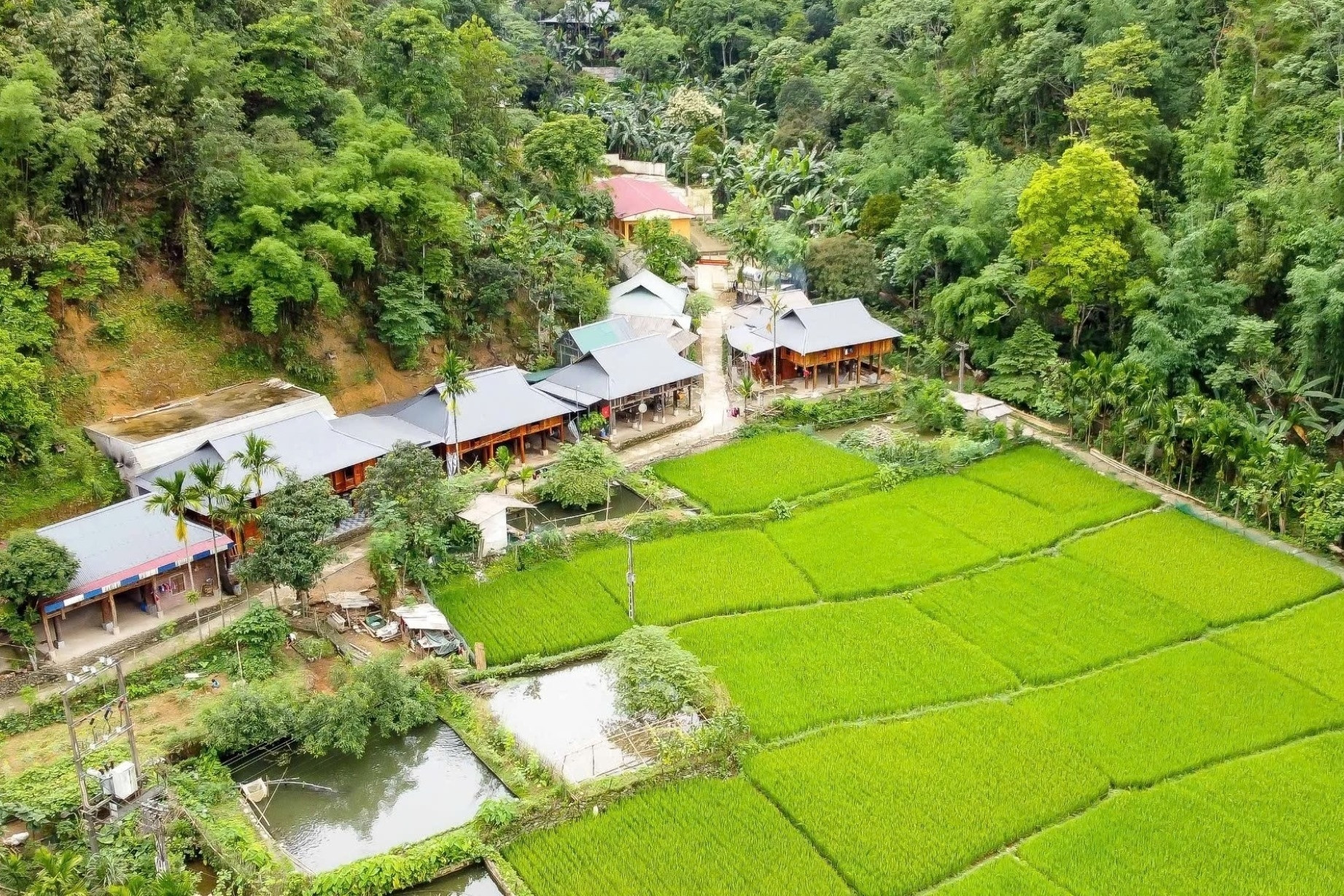 Bản làng ẩn mình trong thung lũng ở Thanh Hóa hút du khách tới trải nghiệm