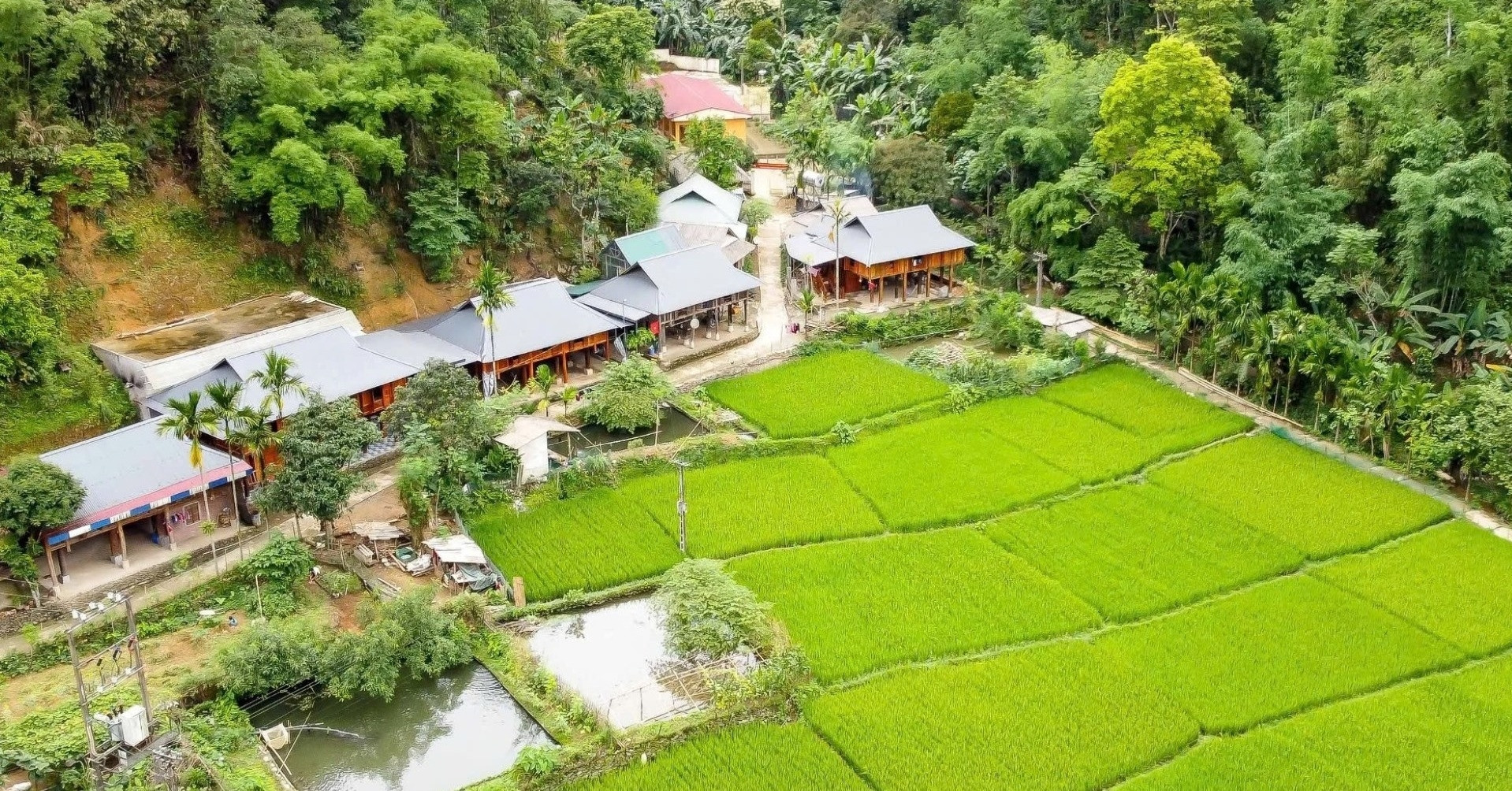 Bản làng ẩn mình trong thung lũng ở Thanh Hóa hút du khách tới trải nghiệm