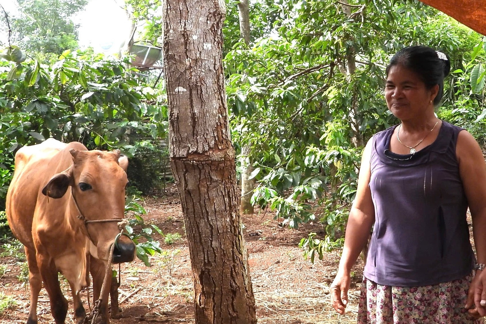 Chính sách hỗ trợ sát thực tế giúp xã nghèo ở Đắk Lắk bứt phá