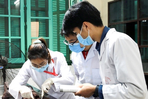Đại học Y Hà Nội dành 40% cho tuyển thẳng, cộng điểm với IELTS từ 5.5