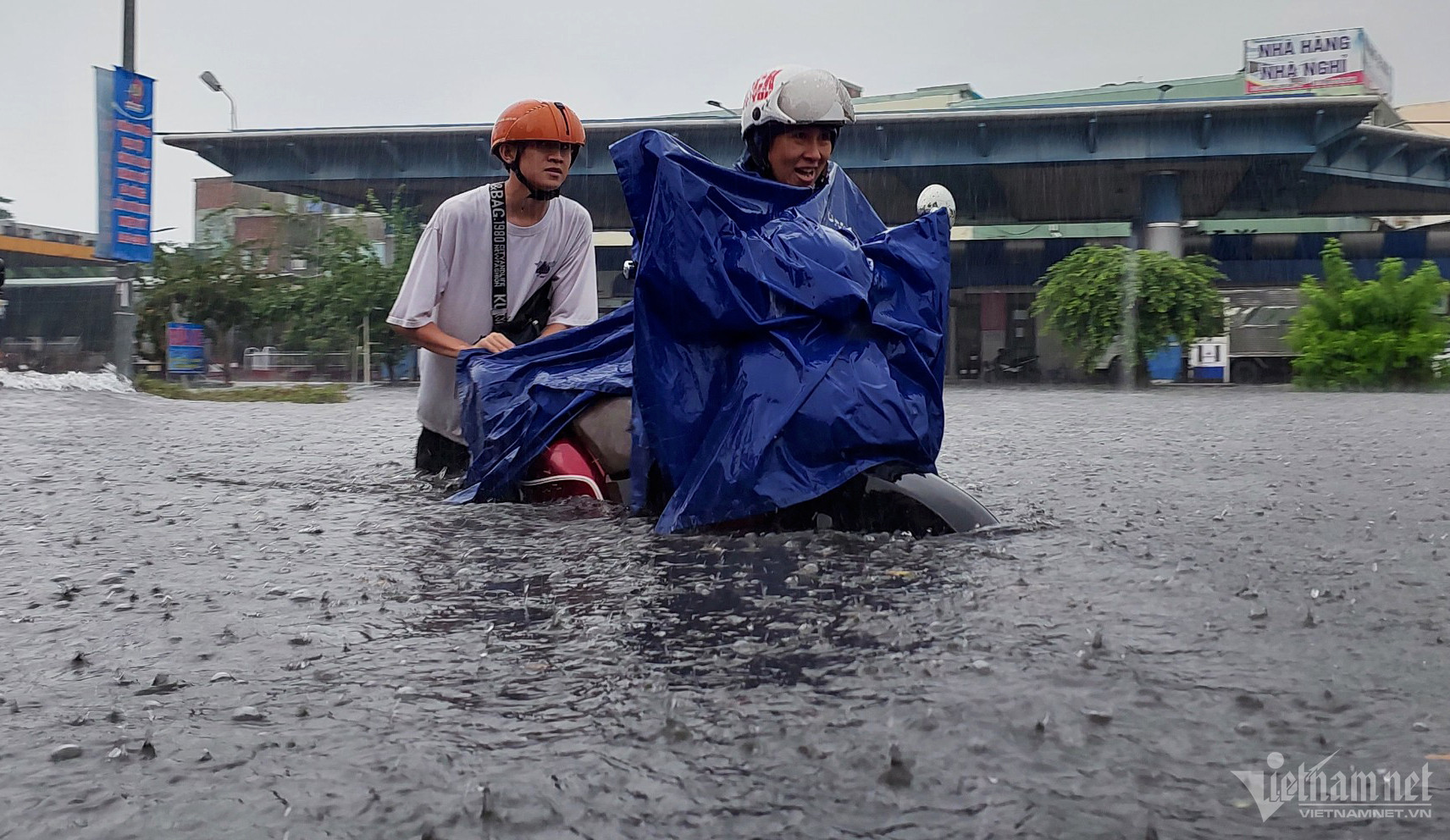 mua lon da nang Ho Giap 2.jpg