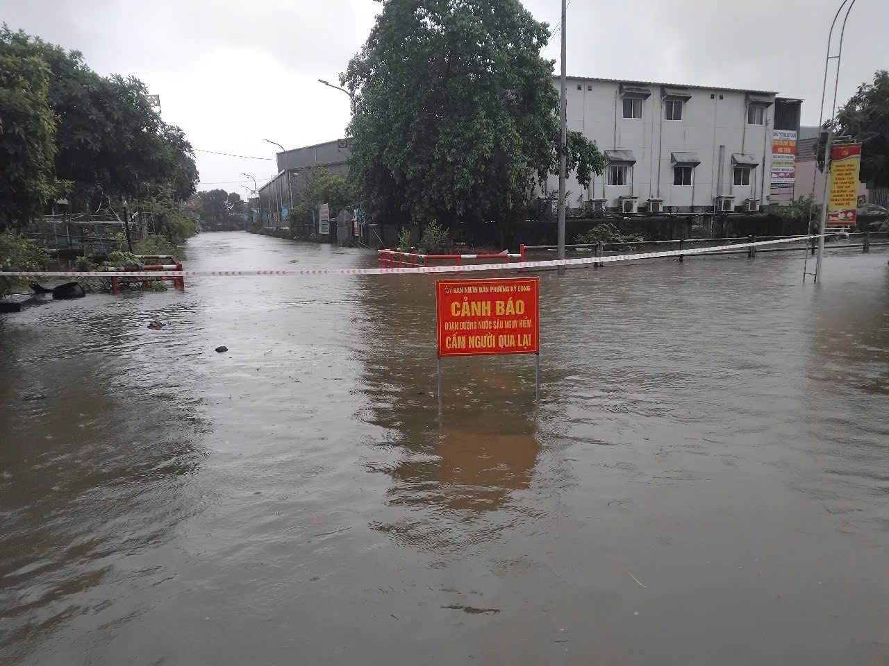 506406074 1410619647187522 3396698330457456312 n 49905.jpg