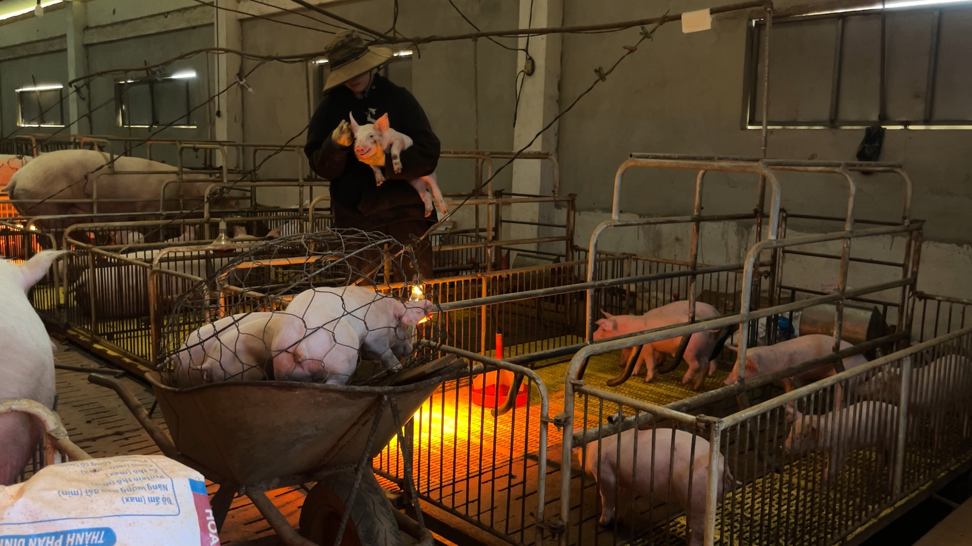 ava 2025 06 01t192639328 1749388706612 1749388707258931850516 16041689.jpg