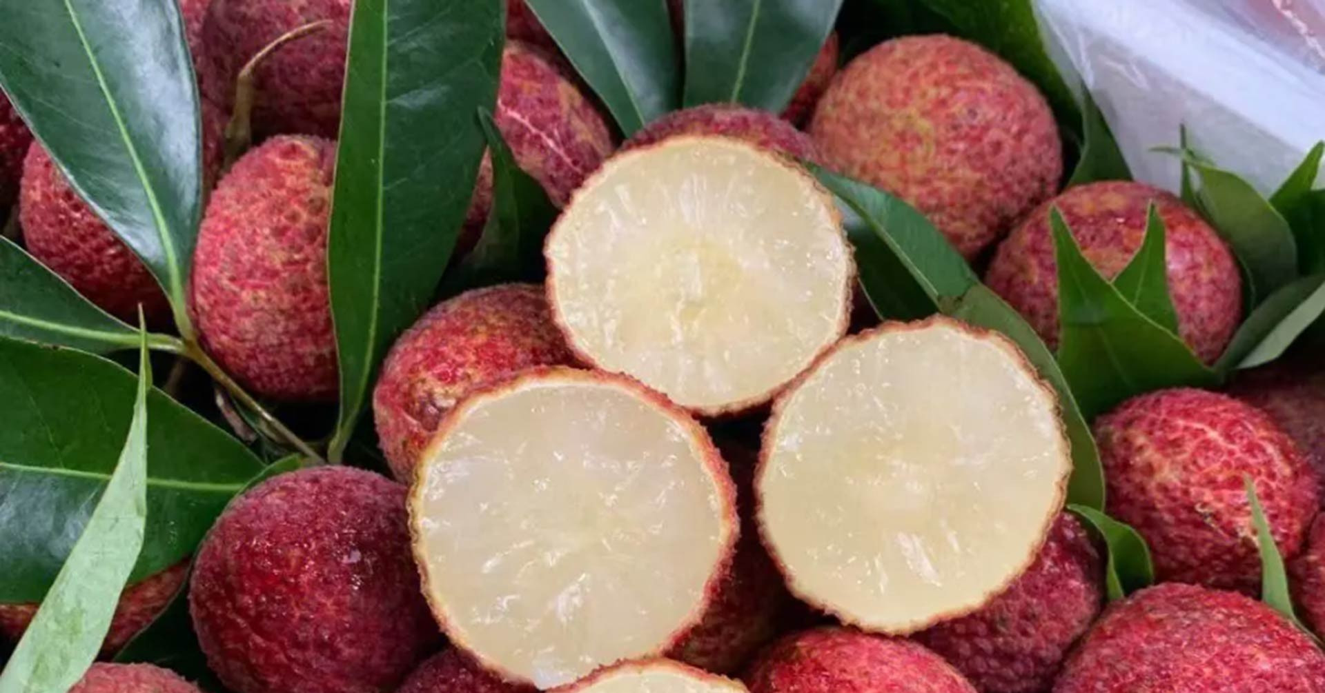 Vải Trung Quốc được trồng như thế nào mà về Việt Nam giá 700.000 đồng/kg?