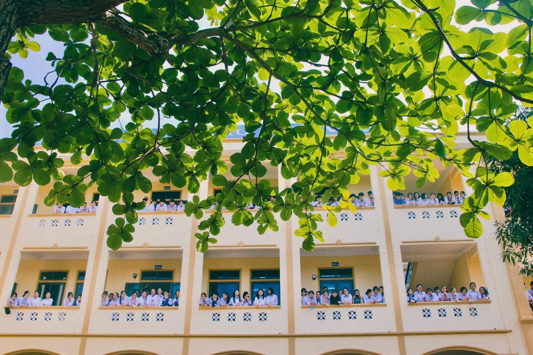 Phan Bội Châu.jpg