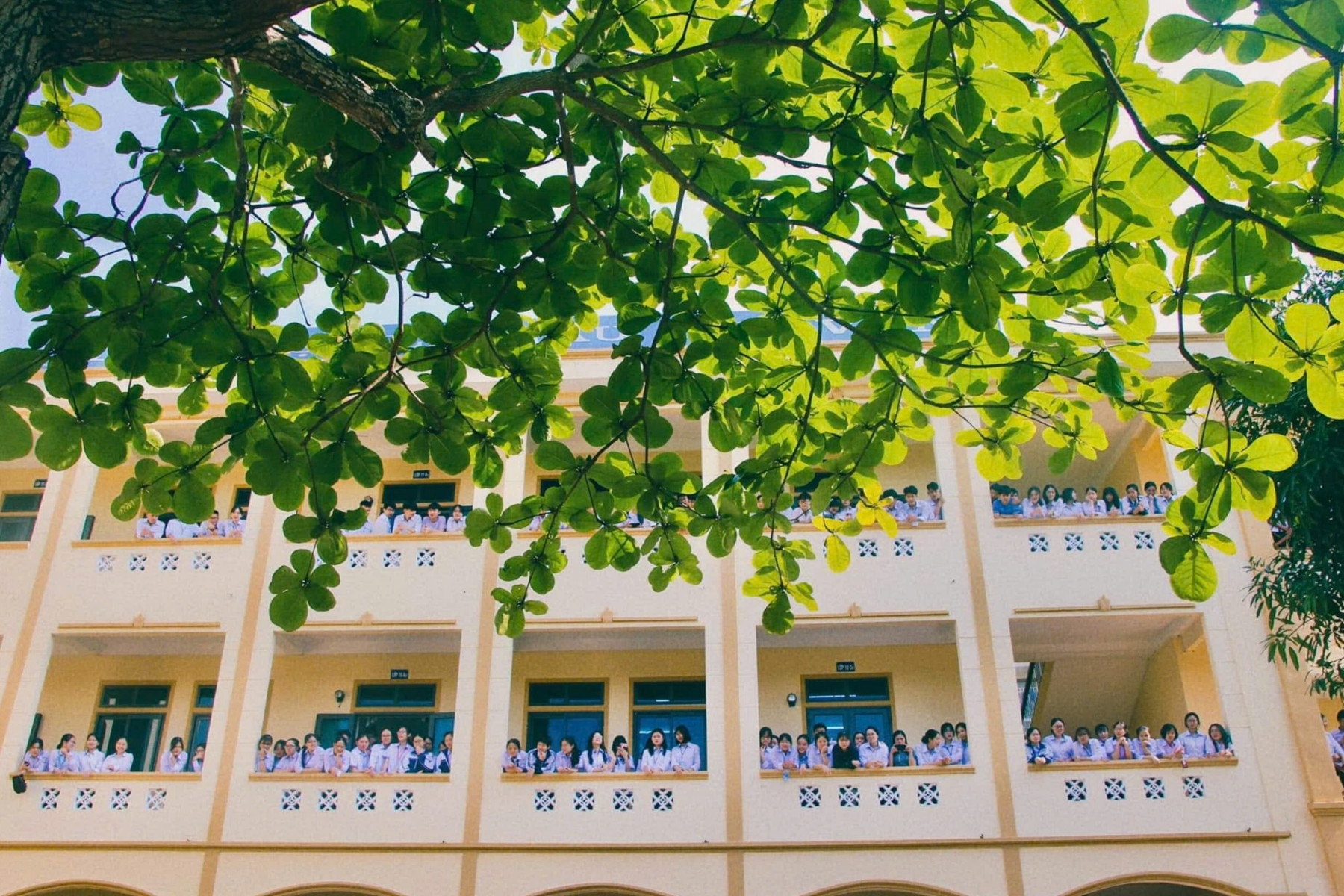 Trường nào có điểm chuẩn lớp 10 cao nhất ở Nghệ An năm 2025?