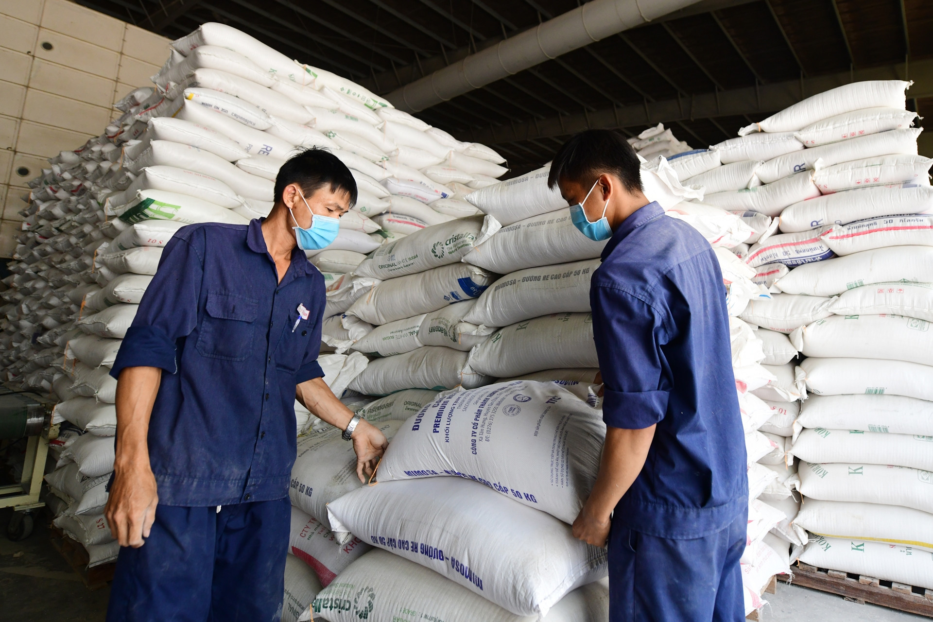 Tư duy "không quản được thì cấm" đang trở lại với xuất khẩu gạo