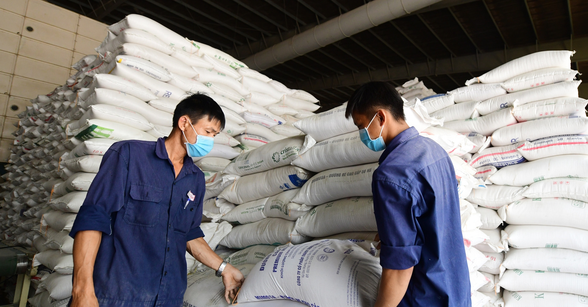 Tư duy 'không quản được thì cấm' đang trở lại với xuất khẩu gạo