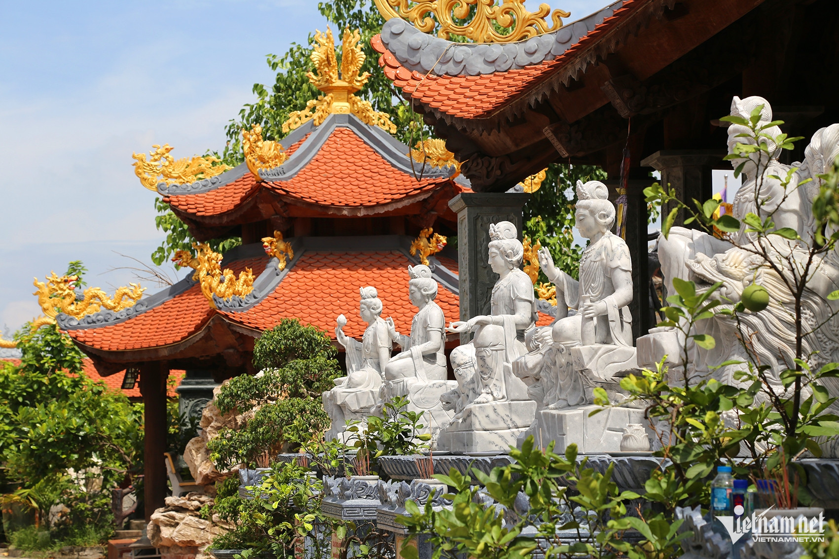 W-Ảnh 1.JPG.jpg