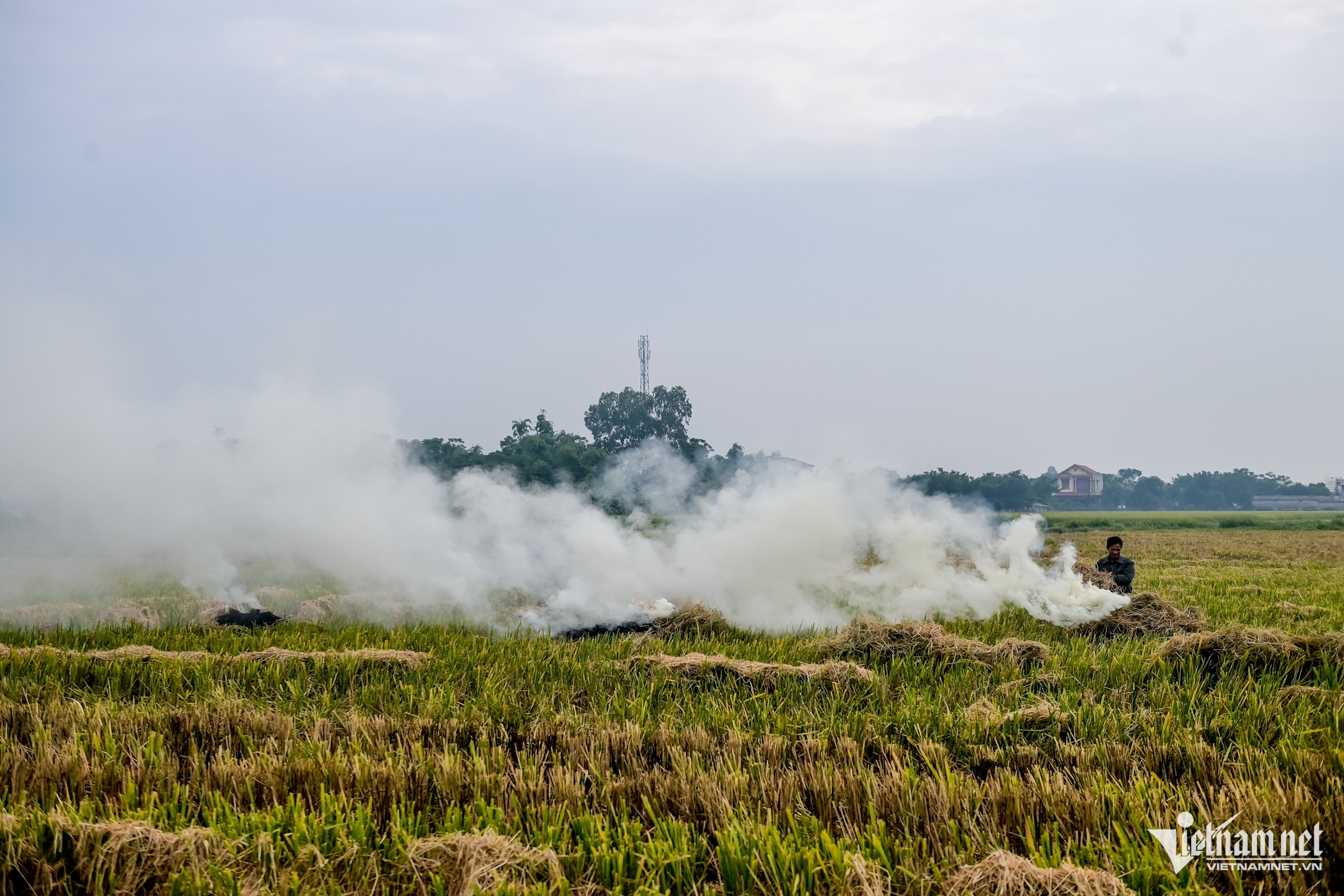 W-Đốt khói_3.jpg