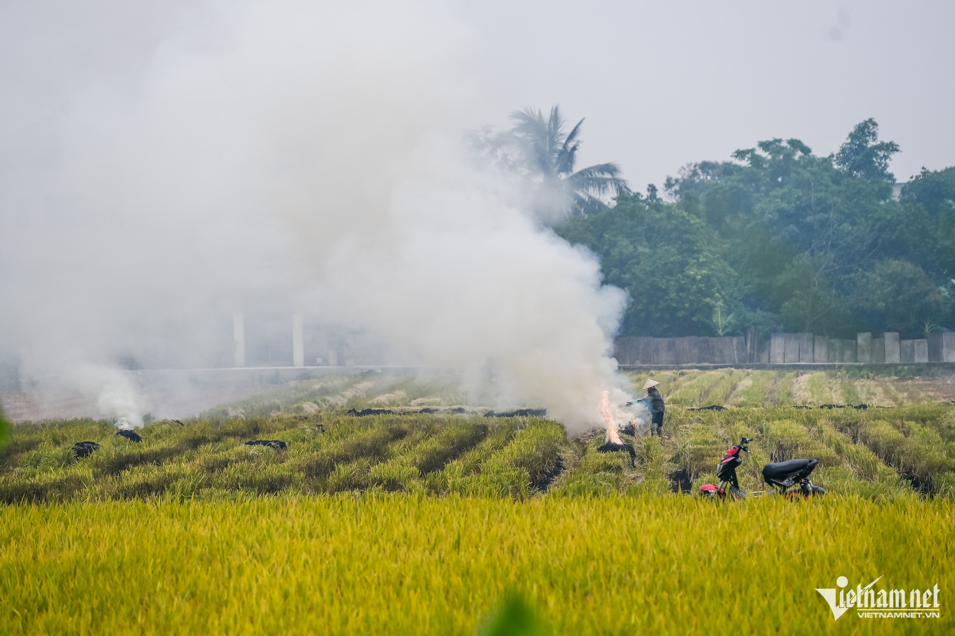 W-Đốt khói_7.jpg