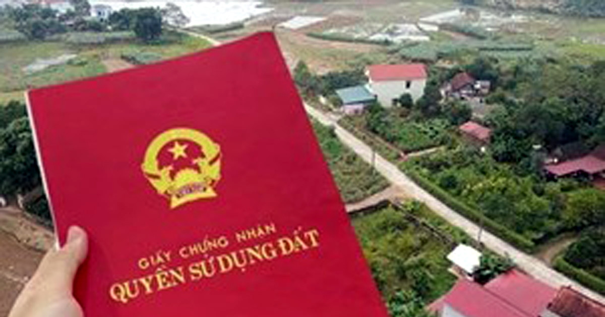 15 tuổi có được đứng tên trên sổ đỏ: Sự thật khiến nhiều người bất ngờ