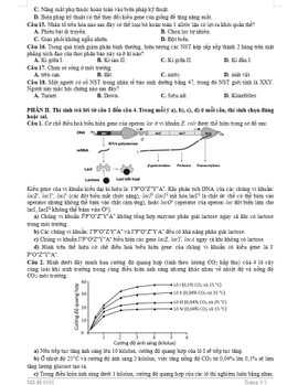 Đề Sinh học tốt nghiệp THPT Nghệ An 3.png