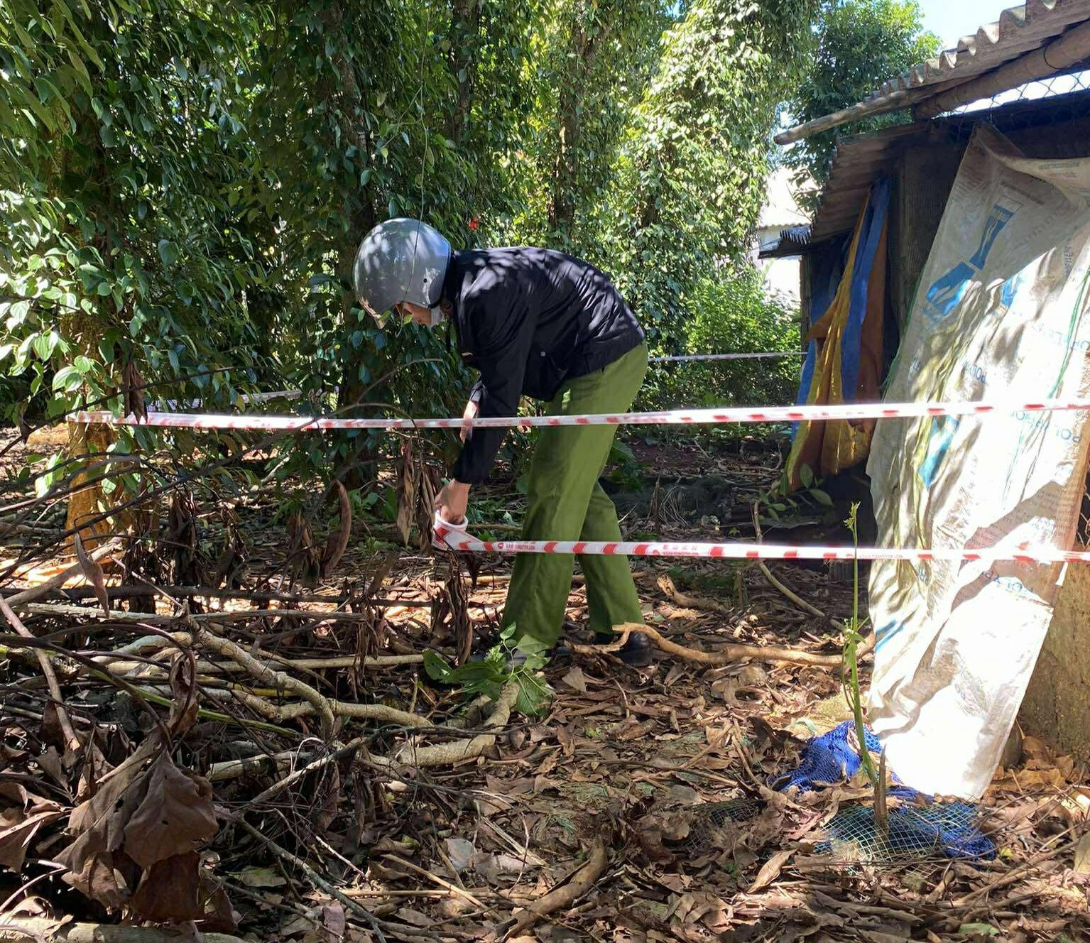 936ef030 1a3f 4f9a 9ef2 5faf502a32da.jpg