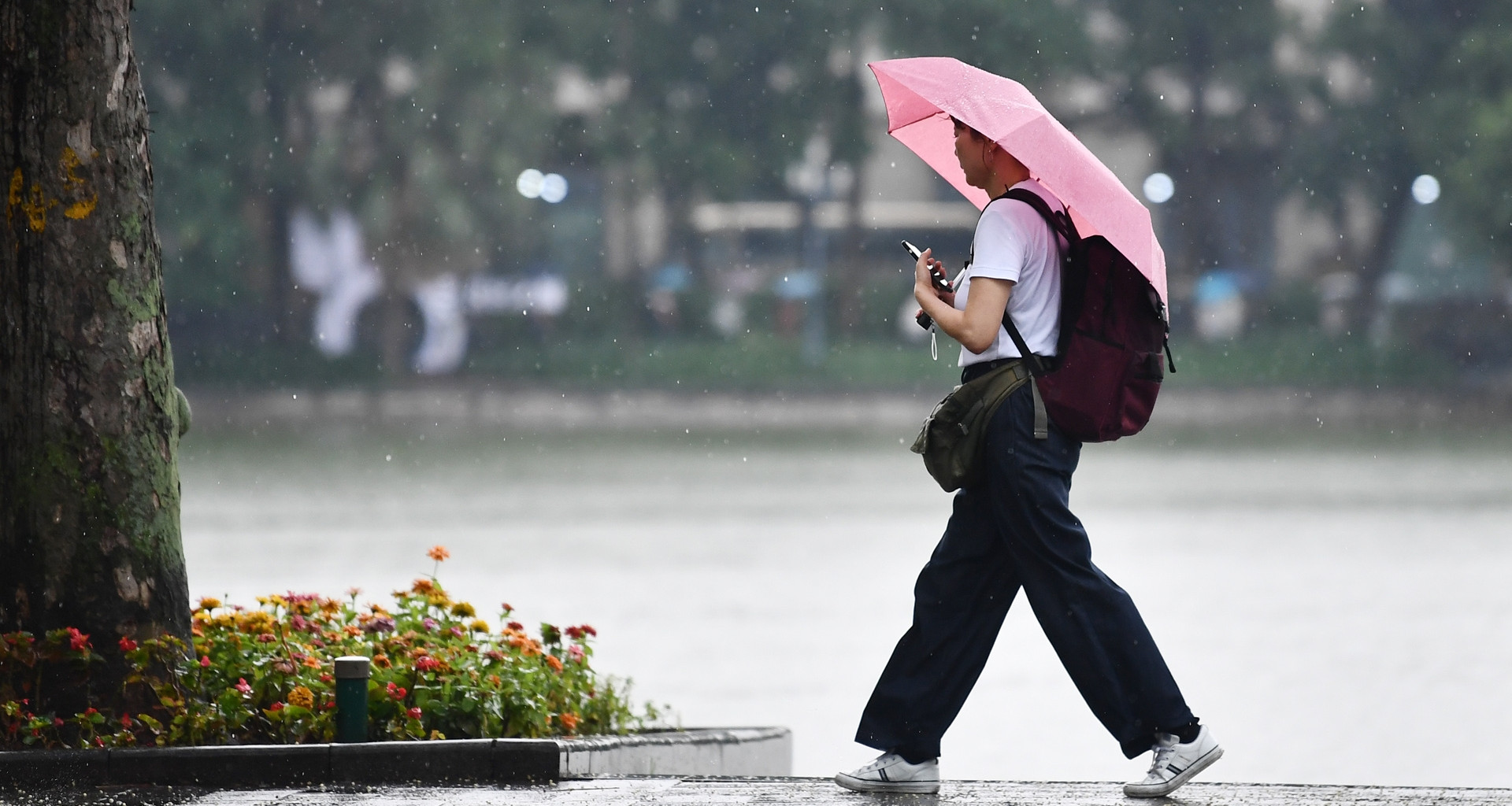 Thời tiết Hà Nội 3 ngày tới: Mưa giông nhiều vào chiều tối, sau lại nắng gắt