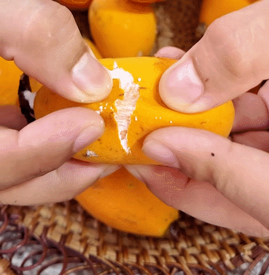 trái gùi 0.gif.gif