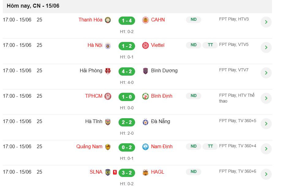 vleague vong 25.jpeg