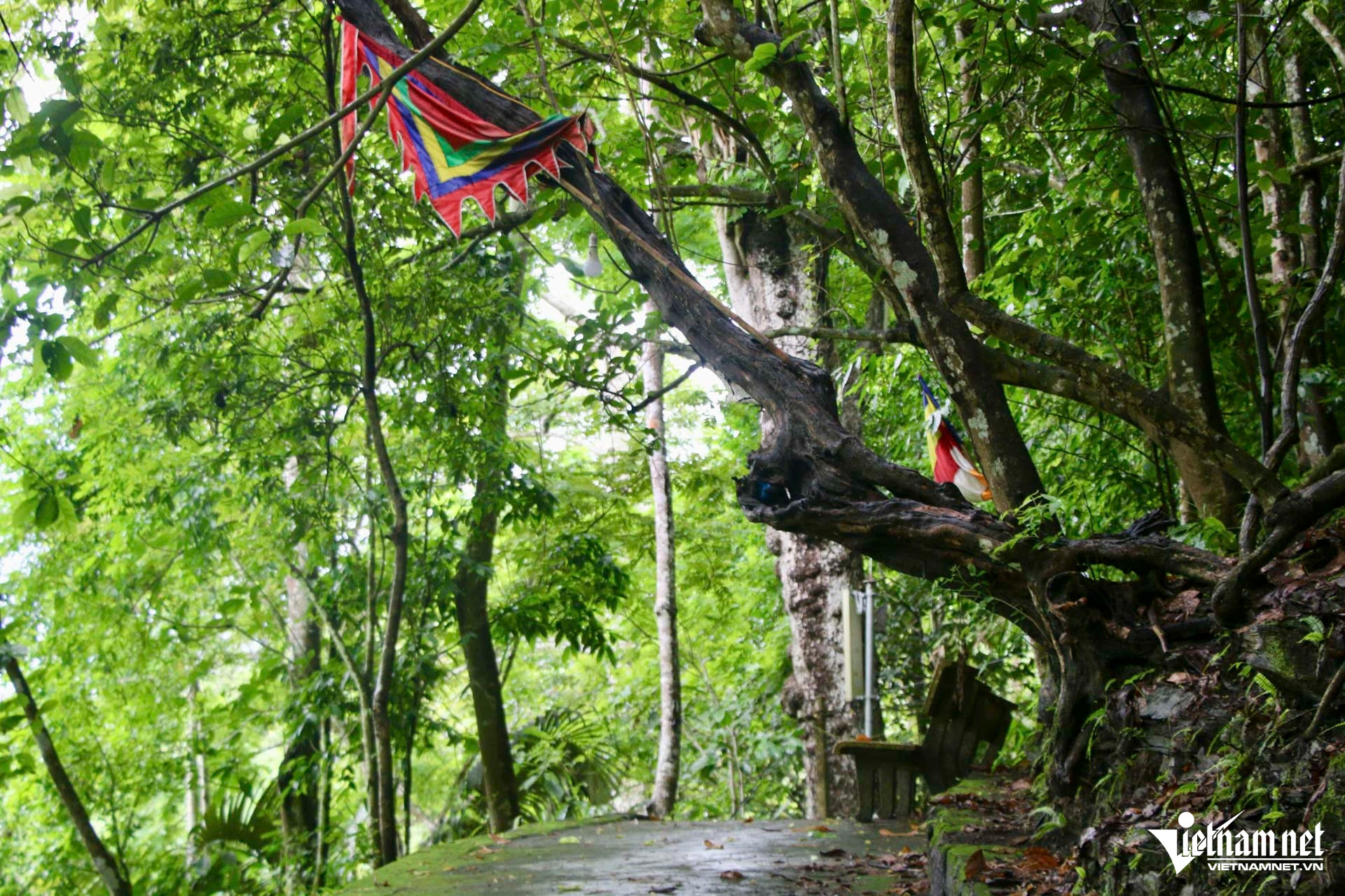 W-chùa thịnh long_5.JPG.jpg