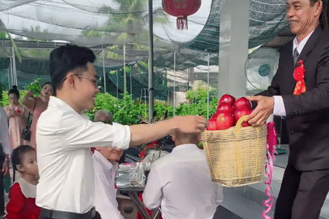 Dàn tráp ăn hỏi độc lạ từ vải, nhãn ở Bến Tre khiến khách bỏ tiệc chạy ra xem